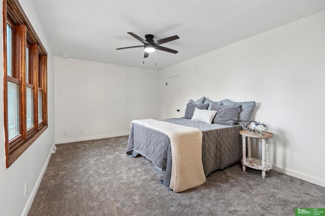 203 S 150th Cir, Omaha, NE 68154 - carpeted bedroom with baseboards and ceiling fan