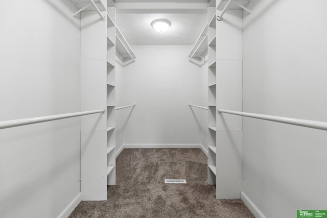 203 S 150th Cir, Omaha, NE 68154 - walk in closet with carpet
