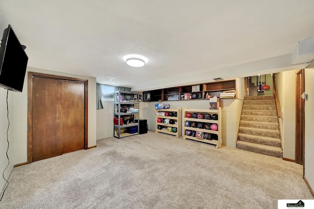 4721 Woodhaven Dr, Lincoln, NE 68516 - finished below grade area with carpet floors and stairs