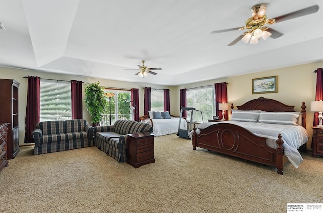 2618 Platte River Dr, Bellevue, NE 68123 - carpeted bedroom with a raised ceiling, multiple windows, and a ceiling fan