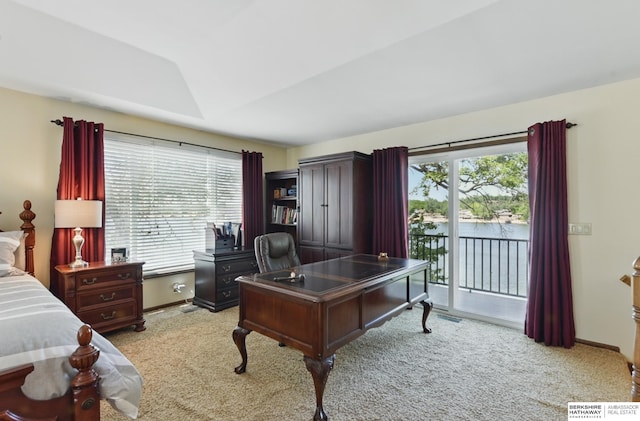 2618 Platte River Dr, Bellevue, NE 68123 - office featuring light colored carpet, plenty of natural light, vaulted ceiling, and a water view