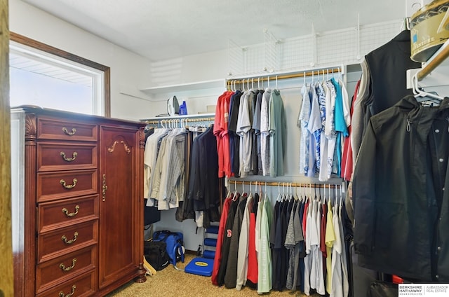2618 Platte River Dr, Bellevue, NE 68123 - spacious closet featuring carpet
