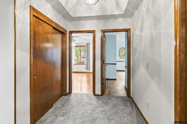 3728 Schuemann Dr, Bellevue, NE 68123 - corridor with carpet floors