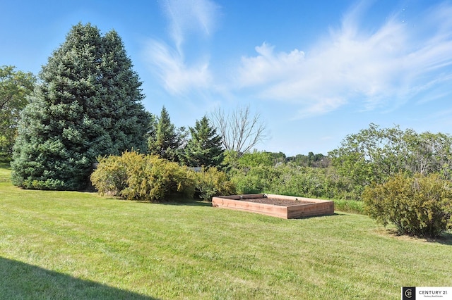 4806 Steavenson Loop, Blair, NE 68008 - view of green lawn featuring a vegetable garden