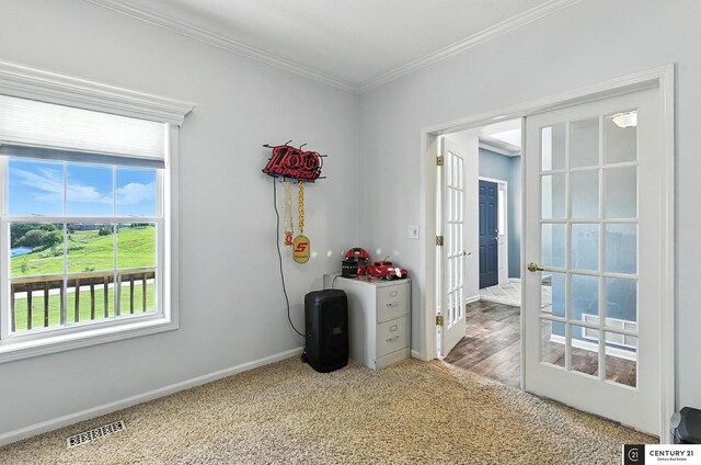 4806 Steavenson Loop, Blair, NE 68008 - carpeted spare room featuring crown molding and french doors