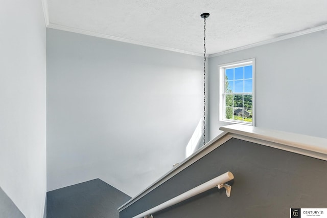 4806 Steavenson Loop, Blair, NE 68008 - exercise room with crown molding and a textured ceiling