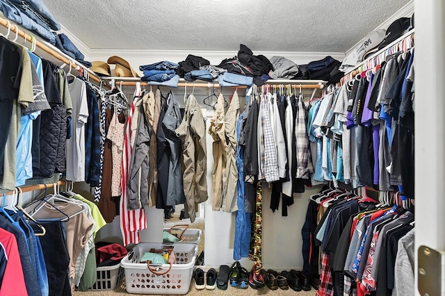 4806 Steavenson Loop, Blair, NE 68008 - view of walk in closet