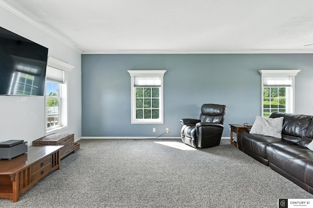 4806 Steavenson Loop, Blair, NE 68008 - living room featuring crown molding and carpet flooring