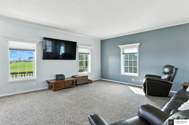 4806 Steavenson Loop, Blair, NE 68008 - living room featuring crown molding and carpet floors