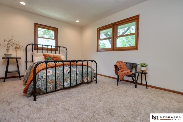 506 Rockhurst Dr, Lincoln, NE 68510 - bedroom with carpet flooring and recessed lighting
