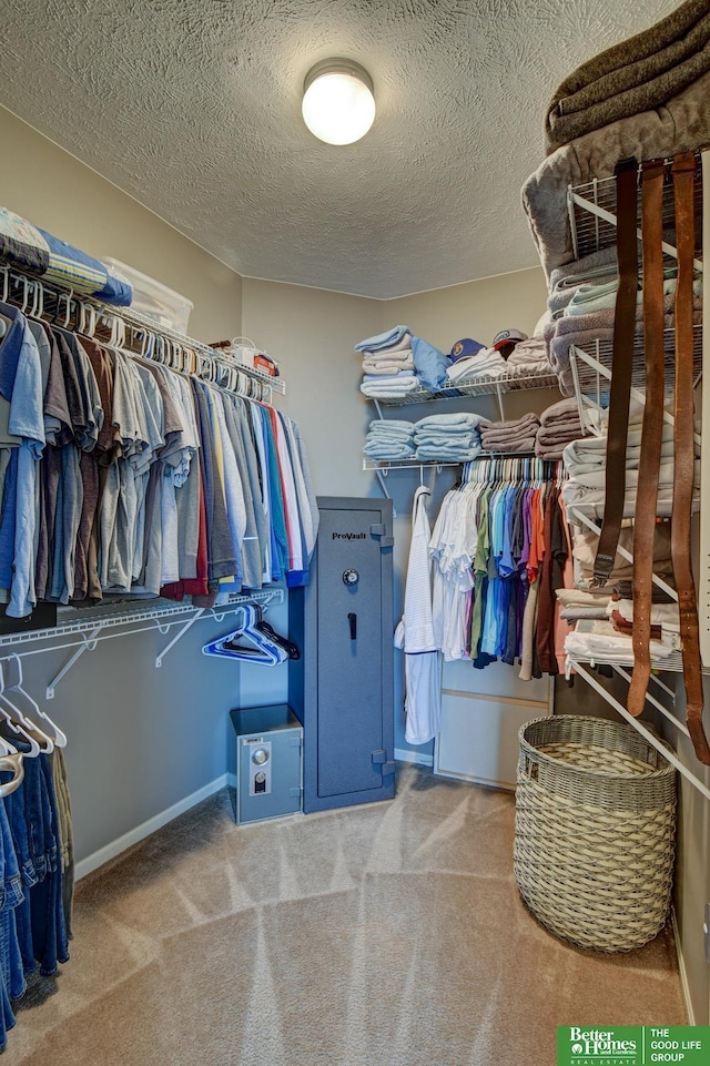 1608 Old Gaelic St, Bellevue, NE 68123 - walk in closet featuring carpet floors