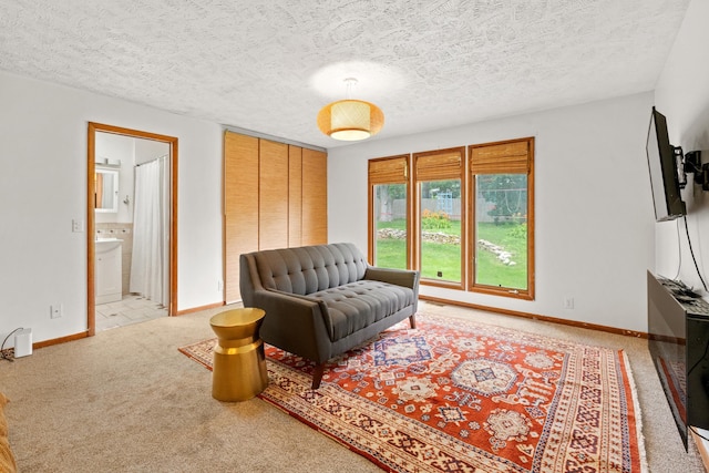 1133 S 96th St, Omaha, NE 68124 - sitting room featuring carpet and a textured ceiling