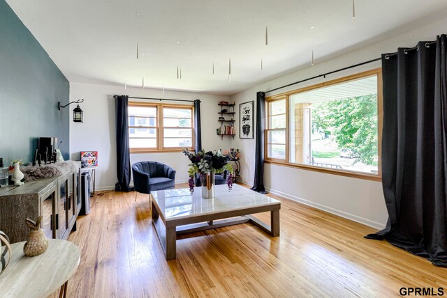 4509 Ridgeway Rd, Omaha, NE 68134 - living area featuring light wood-style floors and baseboards