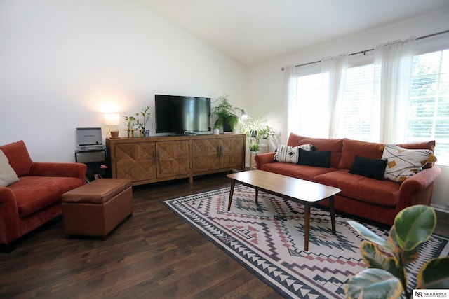13719 S 43rd Ave, Bellevue, NE 68123 - living area featuring wood finished floors and lofted ceiling