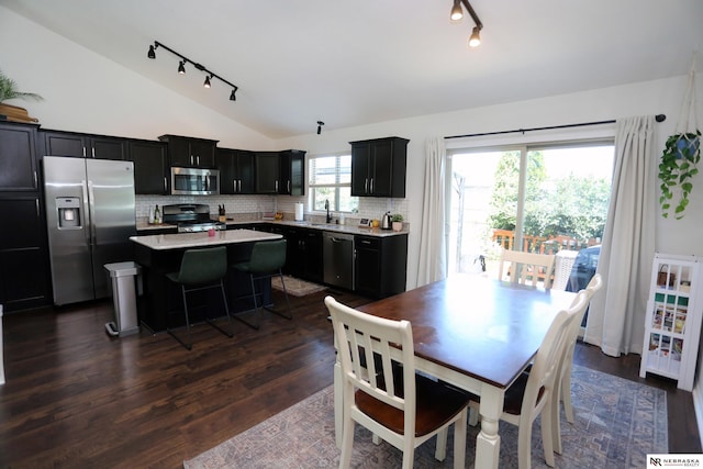 13719 S 43rd Ave, Bellevue, NE 68123 - dining area with track lighting, lofted ceiling, and dark wood-style floors