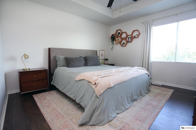 13719 S 43rd Ave, Bellevue, NE 68123 - bedroom with wood finished floors, a raised ceiling, and a ceiling fan