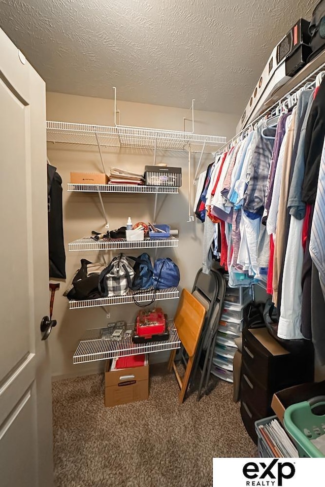 2611 N 189th St, Elkhorn, NE 68022 - spacious closet featuring carpet floors