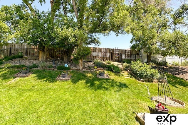 2611 N 189th St, Elkhorn, NE 68022 - view of fenced backyard