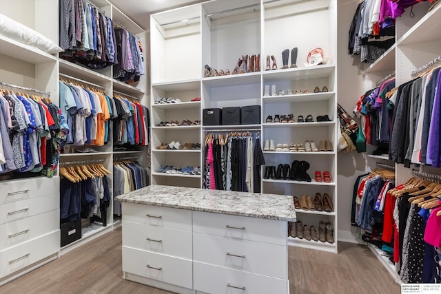 6217 N 295th St, Valley, NE 68064 - spacious closet featuring light wood finished floors