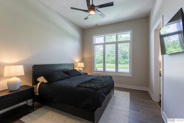 6217 N 295th St, Valley, NE 68064 - bedroom featuring wood finished floors and a ceiling fan