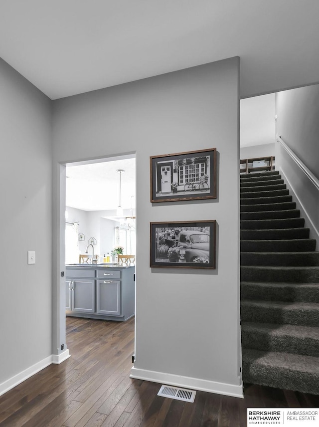 13510 S 46th St, Papillion, NE 68133 - stairs featuring hardwood / wood-style floors and baseboards
