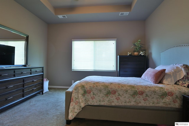 17457 Ames Ave, Omaha, NE 68116 - carpeted bedroom featuring a tray ceiling and baseboards