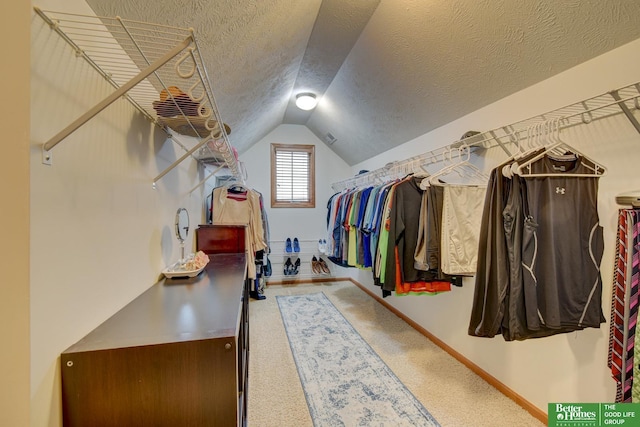 19311 Josephine St, Gretna, NE 68028 - spacious closet featuring lofted ceiling and carpet