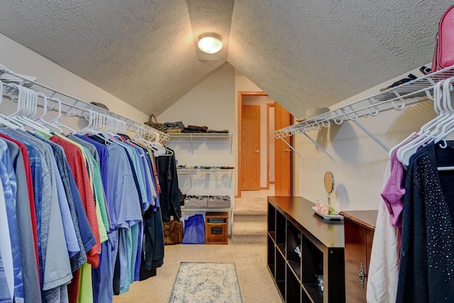 19311 Josephine St, Gretna, NE 68028 - spacious closet featuring carpet and lofted ceiling