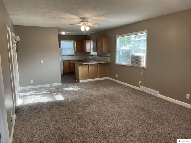 4317 Emmet St, Omaha, NE 68111 - kitchen with a ceiling fan, healthy amount of natural light, a peninsula, and freestanding refrigerator