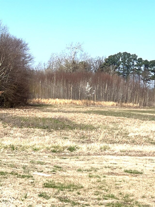 20 Peachtree, Jonesboro, AR 72405 - photo 7
