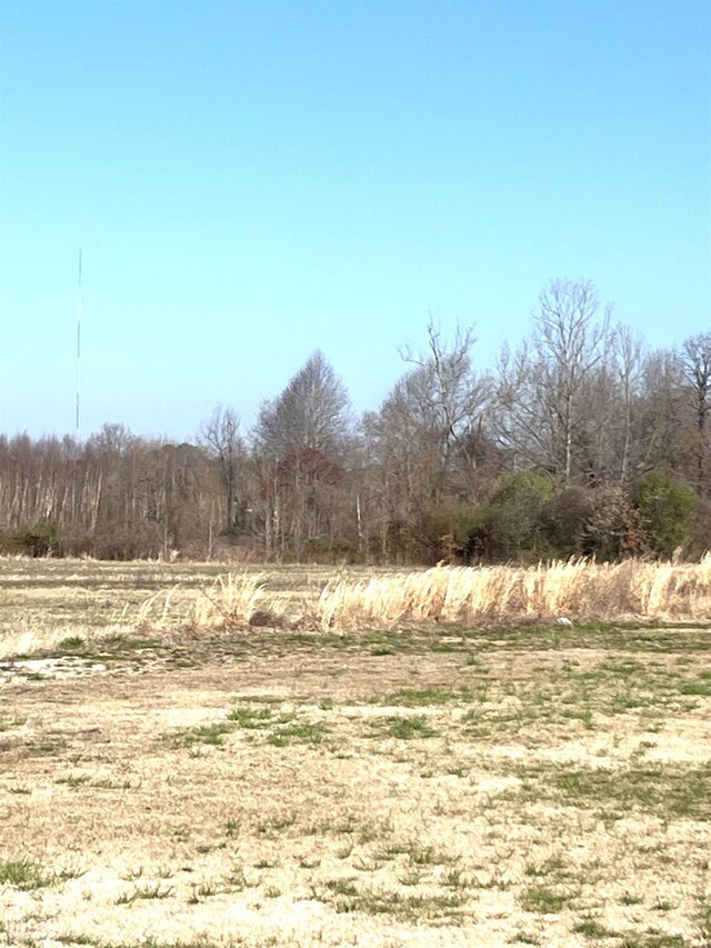 20 Peachtree, Jonesboro, AR 72405 - photo 5