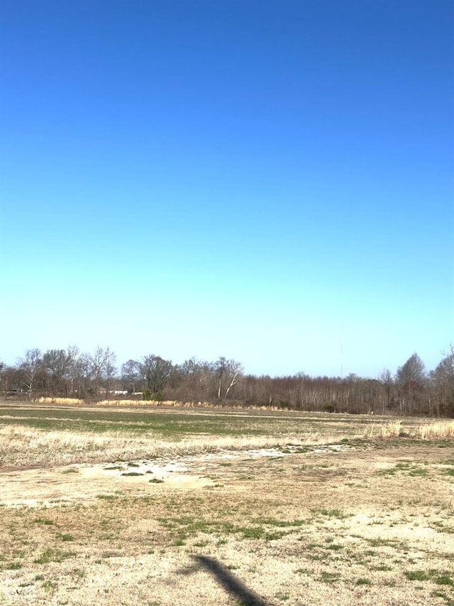 20 Peachtree, Jonesboro, AR 72405 - photo 2