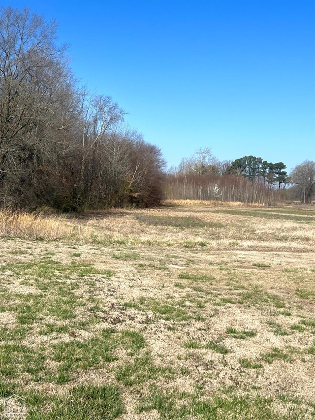 20 Peachtree, Jonesboro, AR 72405 - photo 3