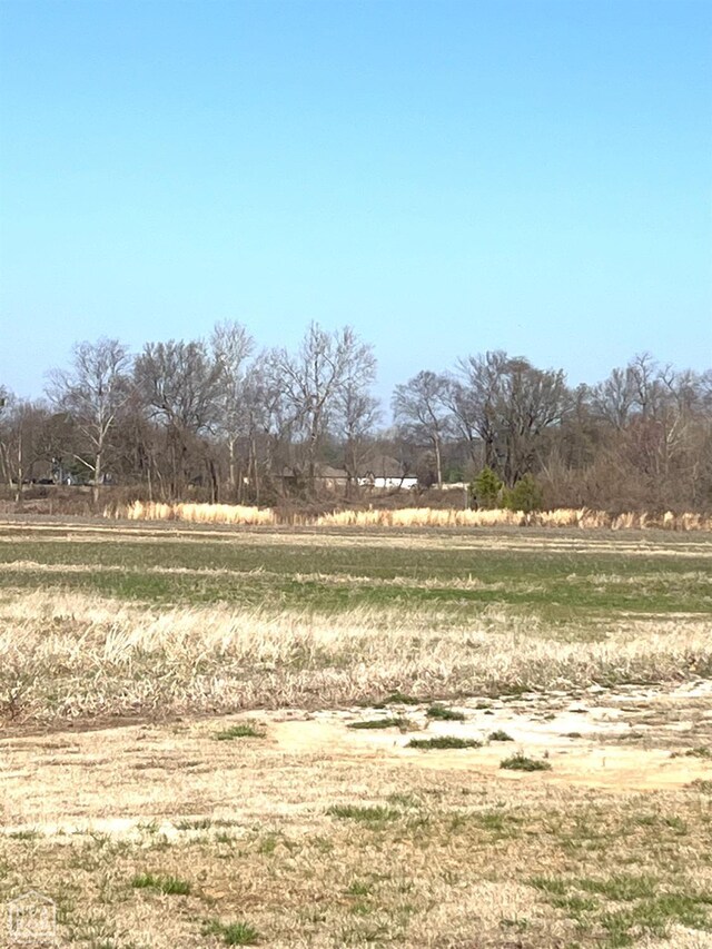 20 Peachtree, Jonesboro, AR 72405 - photo 6
