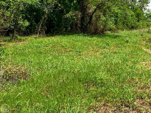 12 Tract, Harrisburg, AR 72432 - photo 5