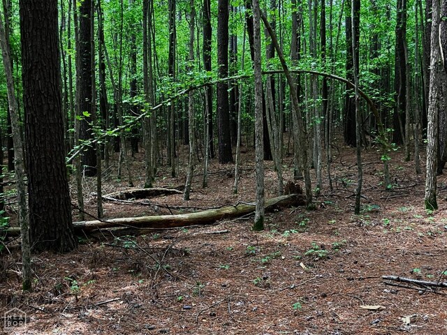12 Tract, Harrisburg, AR 72432 - photo 8