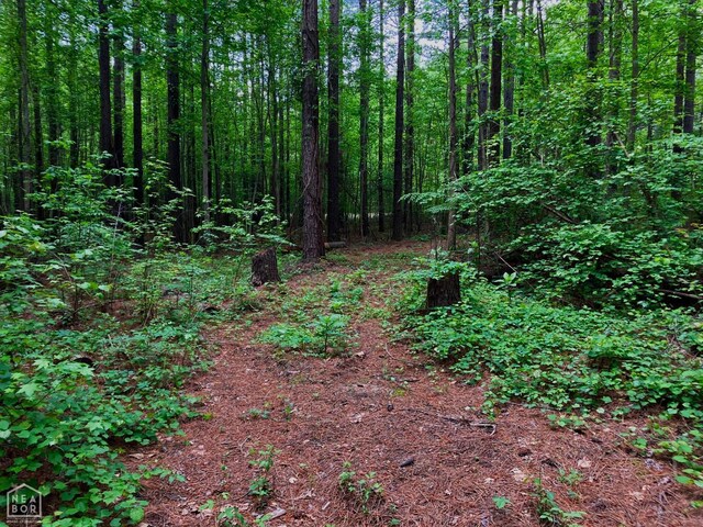 12 Tract, Harrisburg, AR 72432 - photo 7