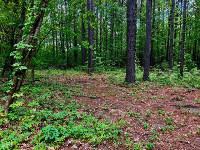 12 Tract, Harrisburg, AR 72432 - photo 6