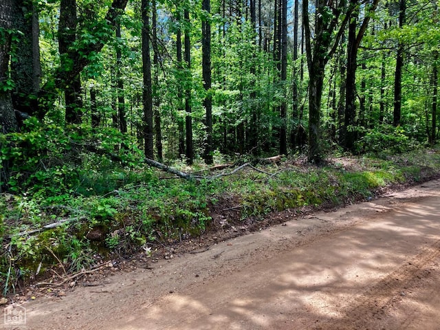 12 Tract, Harrisburg, AR 72432 - photo 2