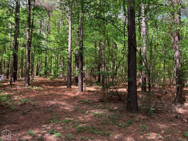 12 Tract, Harrisburg, AR 72432 - photo 3