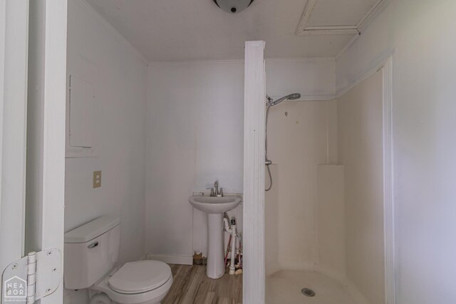 2303 E Lake St E, Paragould, AR 72450 - spare room featuring light wood-style floors, a ceiling fan, and baseboards