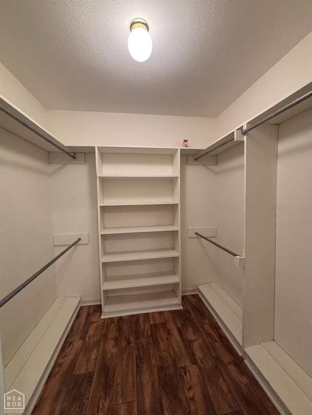 100 Charleston Dr, Walnut Ridge, AR 72476 - walk in closet featuring wood finished floors