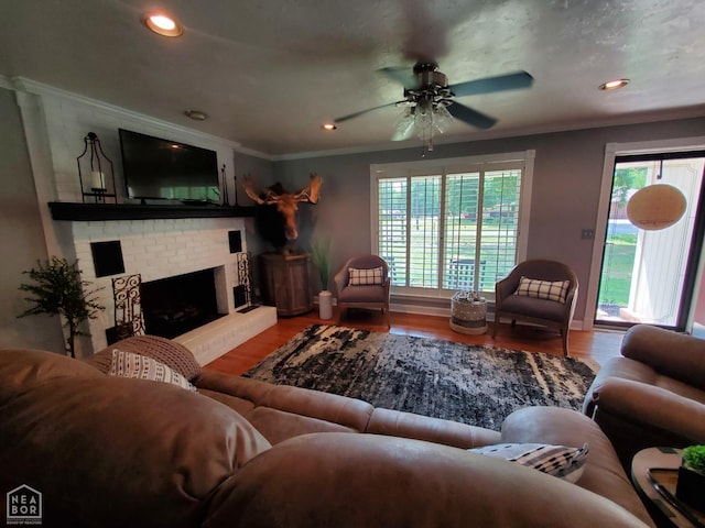 living room with crown molding, ceiling fan, plenty of natural light, and wood finished floors