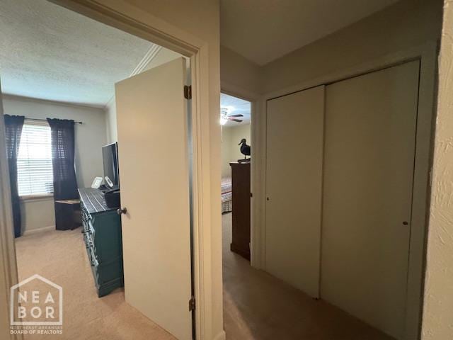 700 11th St, Corning, AR 72422 - hallway with light carpet and a textured ceiling