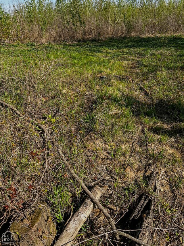 1962 Upper Lockhart Rd, Cord, AR 72524 - photo 12