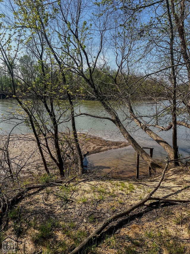 1962 Upper Lockhart Rd, Cord, AR 72524 - photo 6