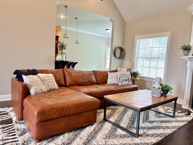 living area featuring baseboards, ornamental molding, vaulted ceiling, and wood finished floors