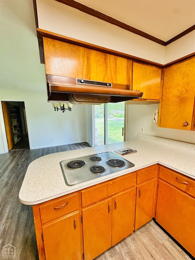 320 Church, Weiner, AR 72479 - kitchen with light wood-style floors, light countertops, a peninsula, under cabinet range hood, and stainless steel stovetop