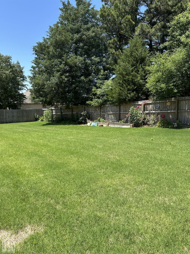 105 Brayden Ln, Brookland, AR 72417 - view of yard