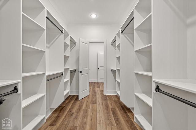 3425 Hudson Ct, Jonesboro, AR 72405 - spacious closet featuring dark wood-style floors